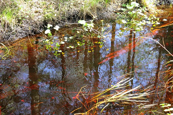 136-Национальныи парк Кемери